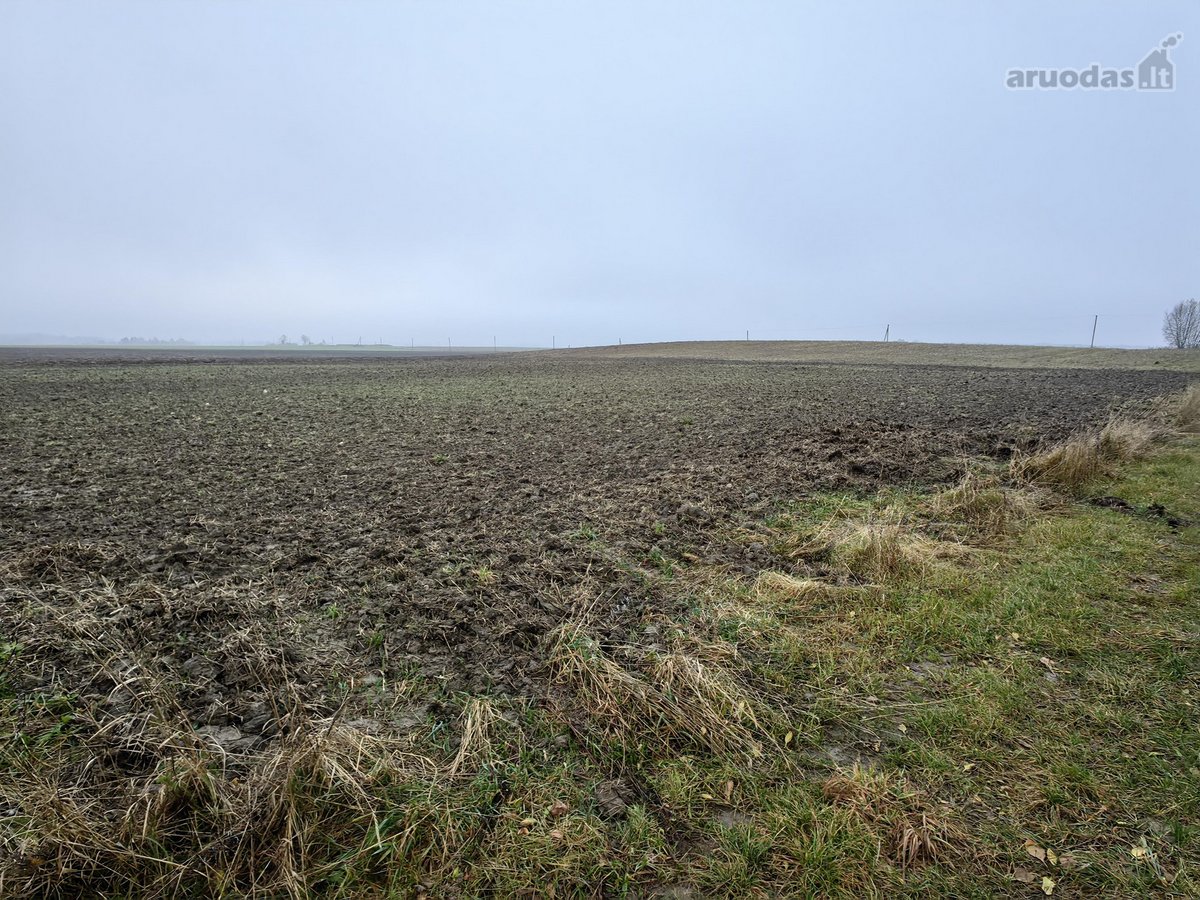Parduodamas 25,43 arų žemės ūkio paskirties - nuotraukos Nr. 10