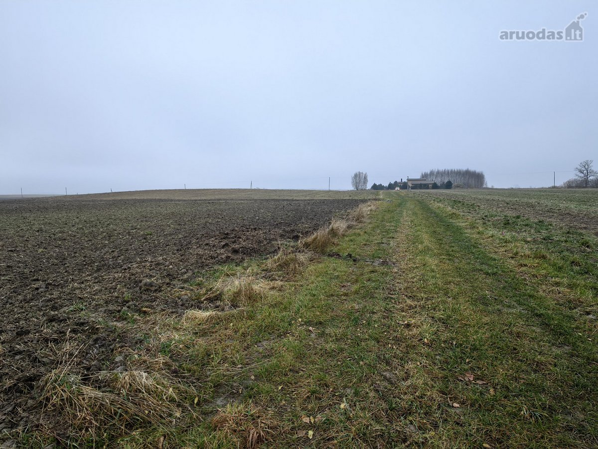 Parduodamas 25,43 arų žemės ūkio paskirties