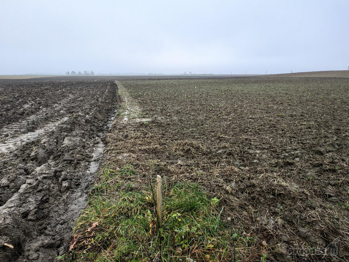 Parduodamas 25,43 arų žemės ūkio paskirties - nuotraukos Nr. 11