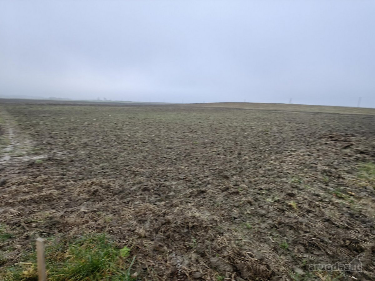 Parduodamas 25,43 arų žemės ūkio paskirties - nuotraukos Nr. 12