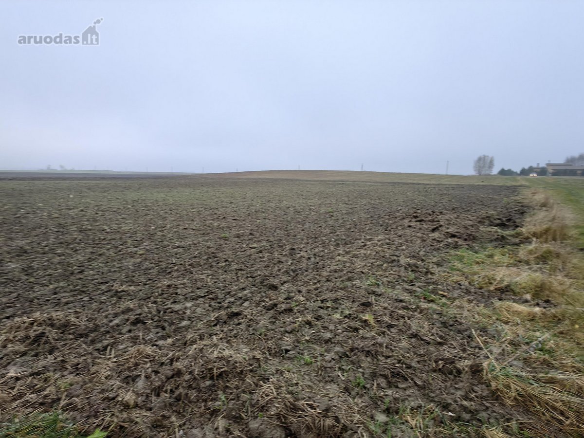 Parduodamas 25,43 arų žemės ūkio paskirties - nuotraukos Nr. 13