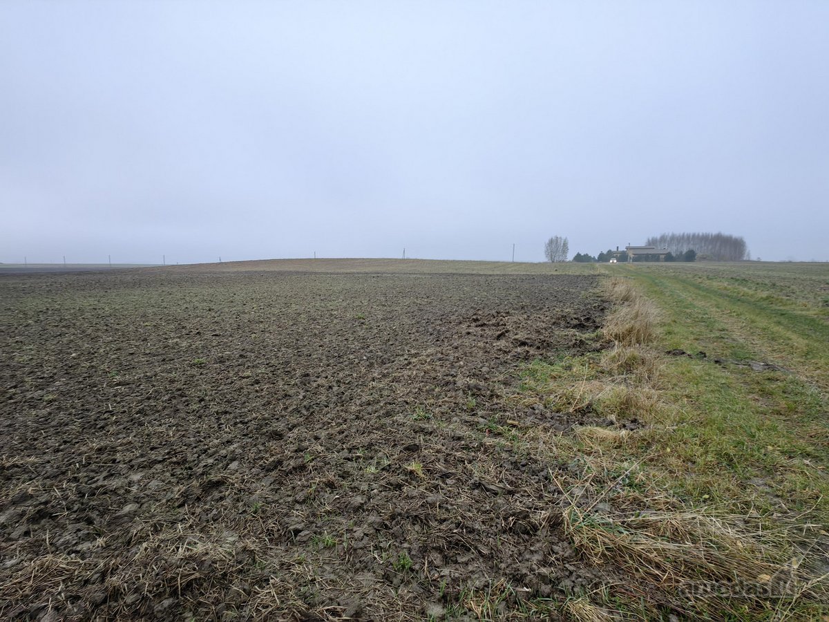 Parduodamas 25,43 arų žemės ūkio paskirties - nuotraukos Nr. 14