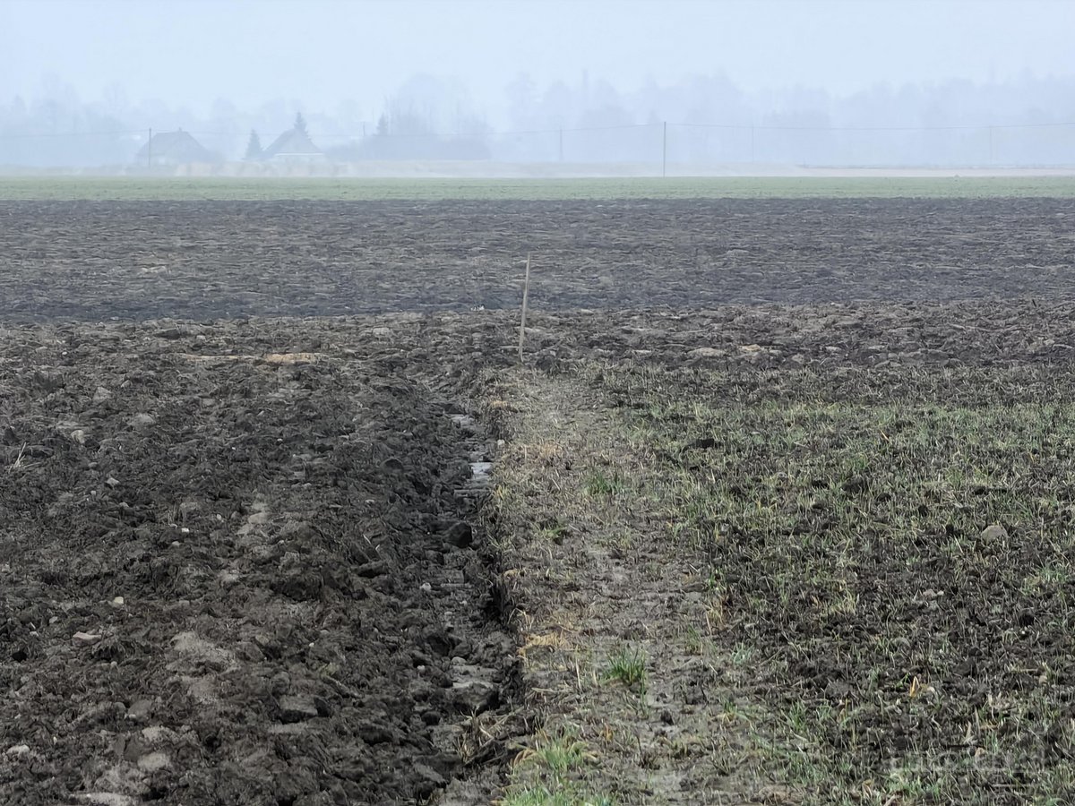 Parduodamas 25,43 arų žemės ūkio paskirties - nuotraukos Nr. 15