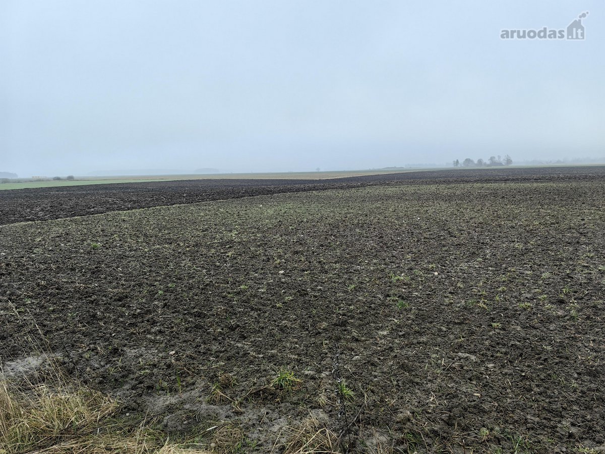 Parduodamas 25,43 arų žemės ūkio paskirties - nuotraukos Nr. 18
