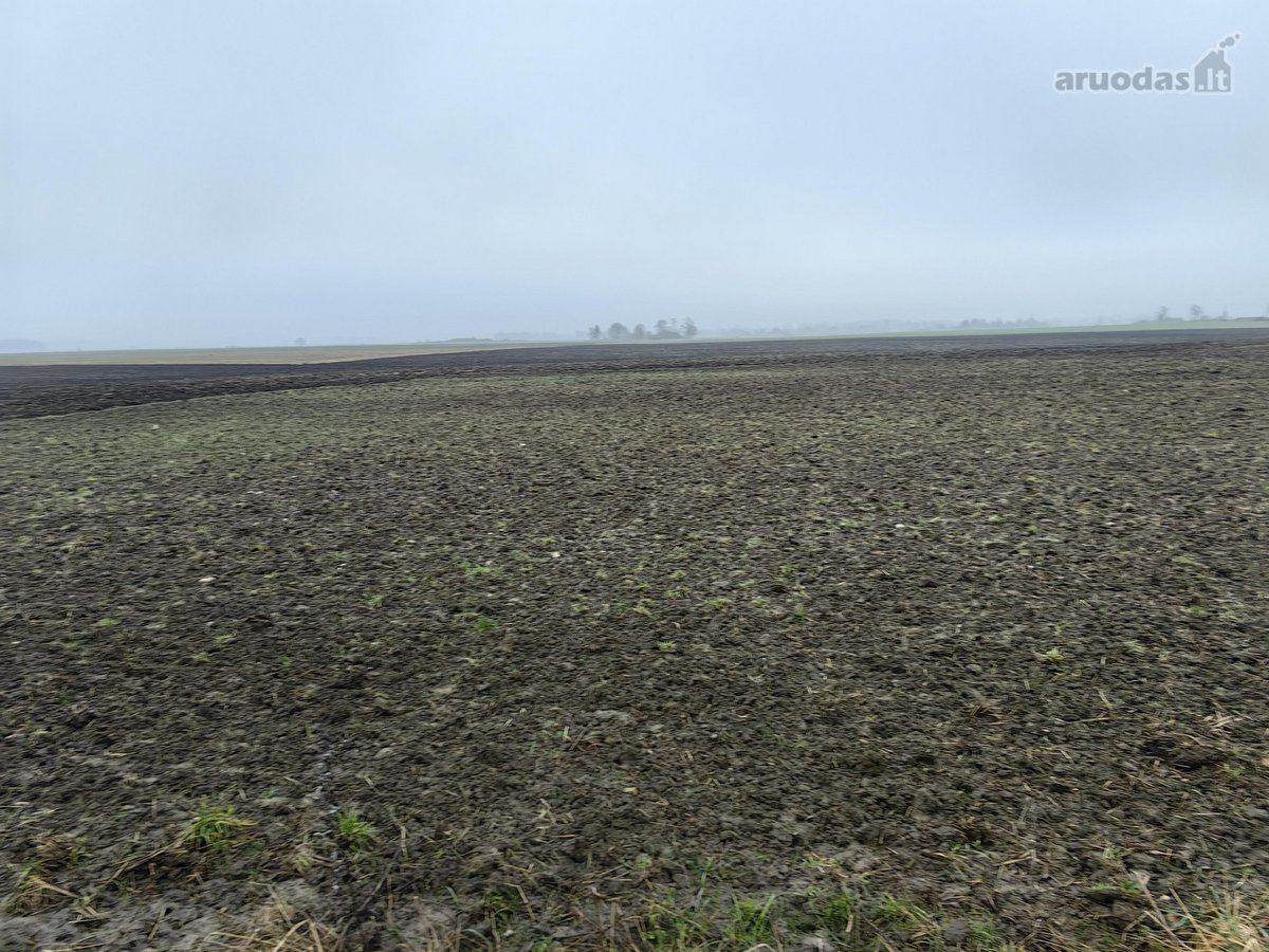 Parduodamas 25,43 arų žemės ūkio paskirties - nuotraukos Nr. 19