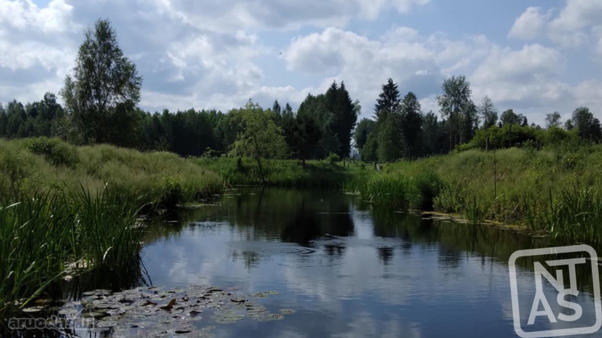 Vos 40km Nuo Vilniaus, Vaizdingoje Vietoje - nuotraukos Nr. 12