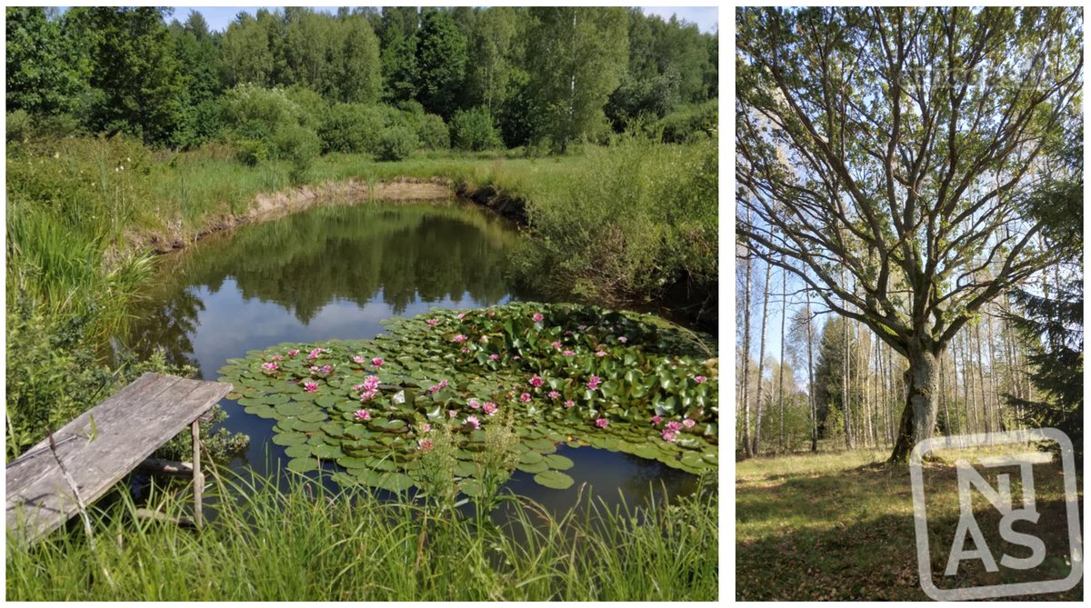 Vos 40km Nuo Vilniaus, Vaizdingoje Vietoje - nuotraukos Nr. 15