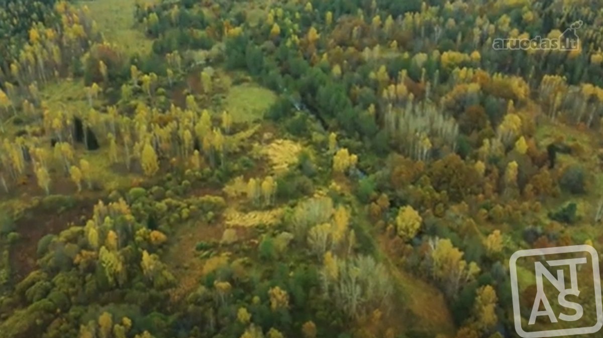 Vos 40km Nuo Vilniaus, Vaizdingoje Vietoje - nuotraukos Nr. 20