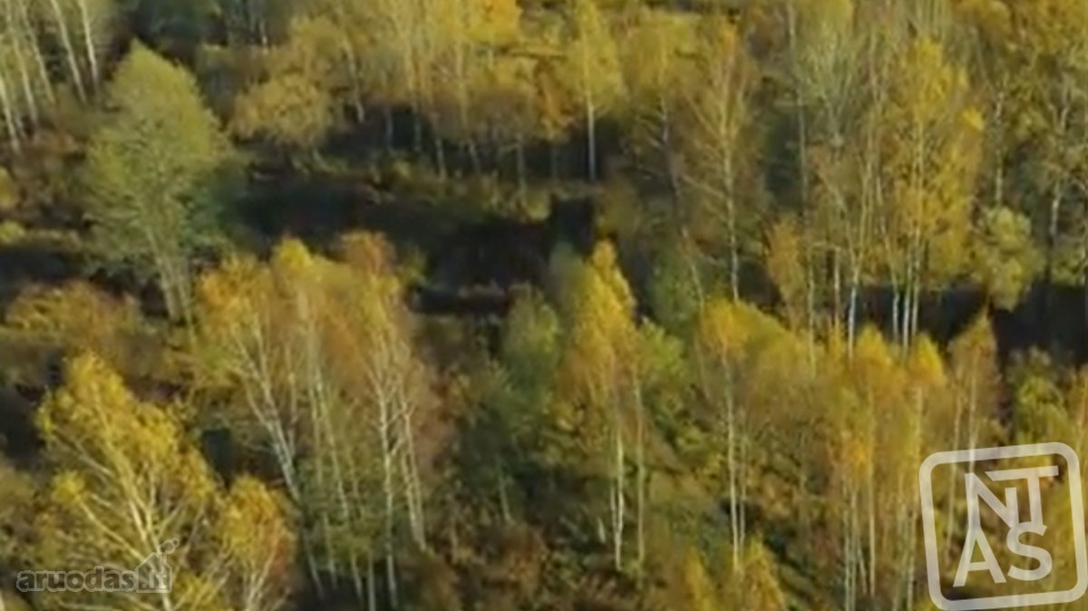 Vos 40km Nuo Vilniaus, Vaizdingoje Vietoje - nuotraukos Nr. 23