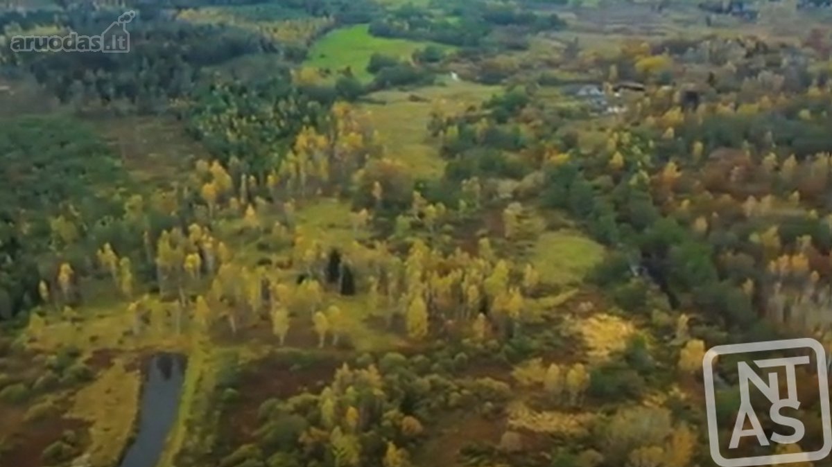 Vos 40km Nuo Vilniaus, Vaizdingoje Vietoje - nuotraukos Nr. 25