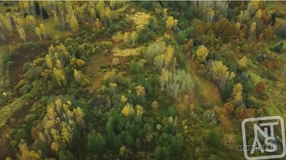 Vos 40km Nuo Vilniaus, Vaizdingoje Vietoje - nuotraukos Nr. 26