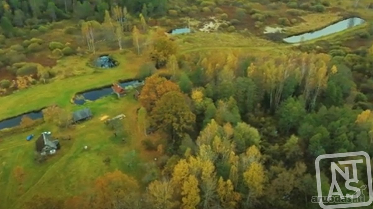 Vos 40km Nuo Vilniaus, Vaizdingoje Vietoje - nuotraukos Nr. 27