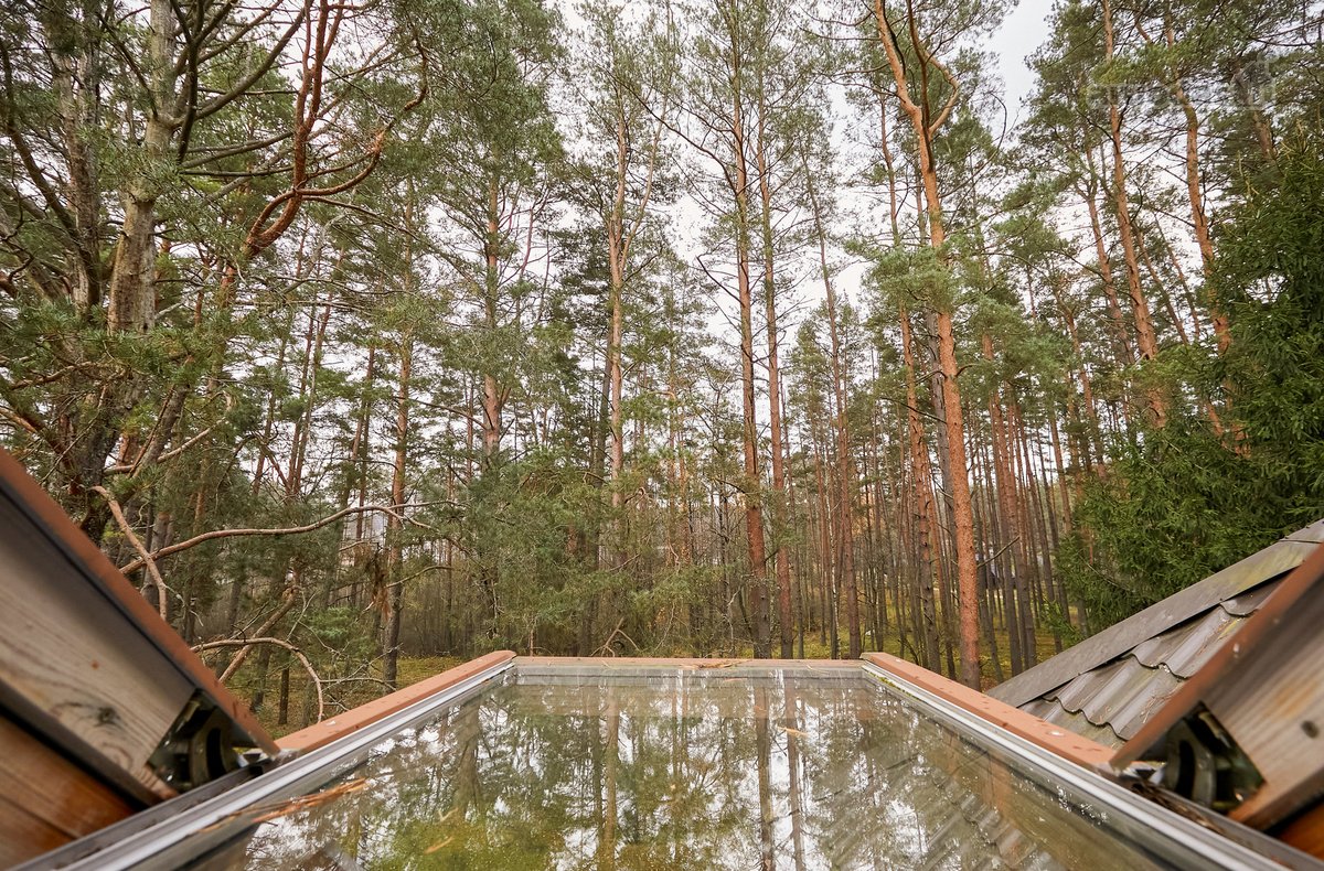 Unikalioje Lietuvos vietoje, Varėnos r. - nuotraukos Nr. 12