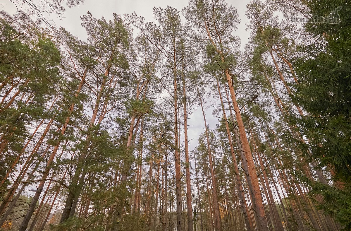 Unikalioje Lietuvos vietoje, Varėnos r. - nuotraukos Nr. 18
