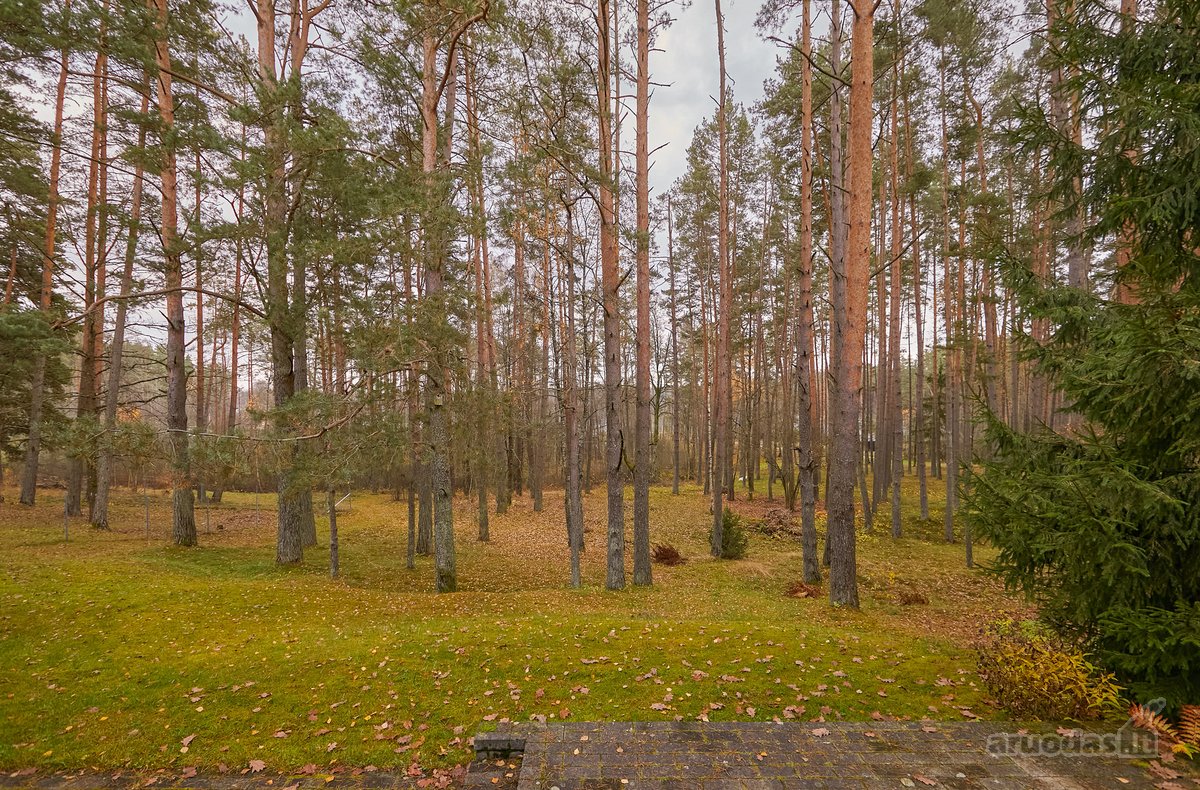 Unikalioje Lietuvos vietoje, Varėnos r. - nuotraukos Nr. 19