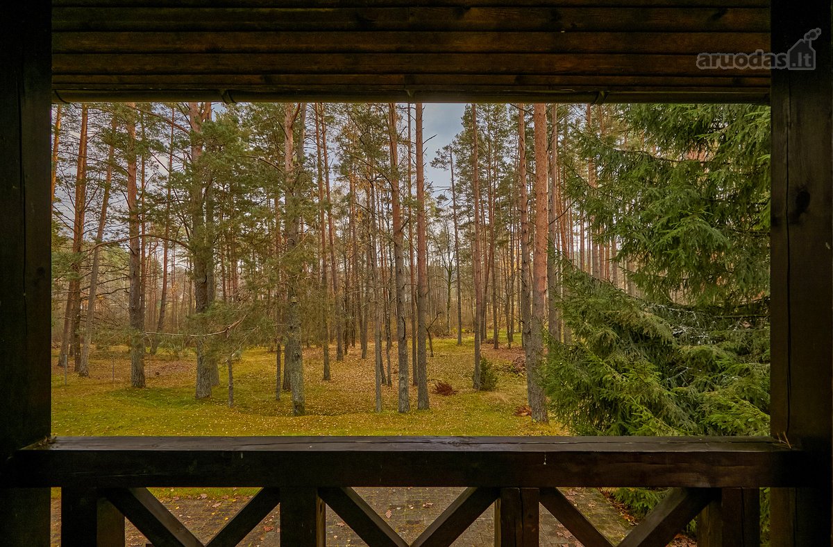 Unikalioje Lietuvos vietoje, Varėnos r. - nuotraukos Nr. 23
