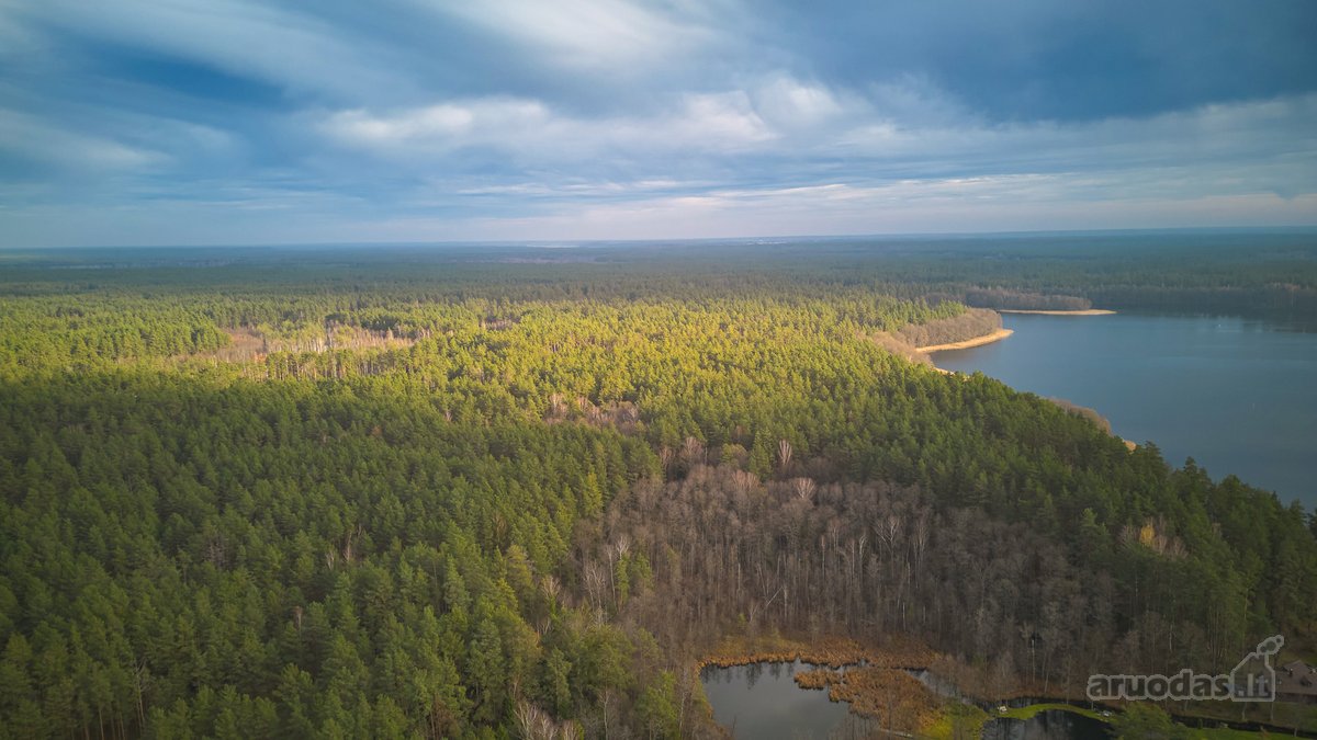 Unikalioje Lietuvos vietoje, Varėnos r. - nuotraukos Nr. 33