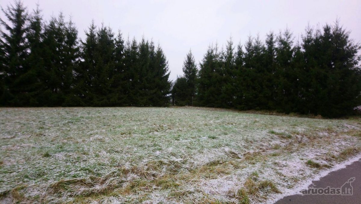 Parduodamas žemės sklypas Šilalės mieste. - nuotraukos Nr. 2