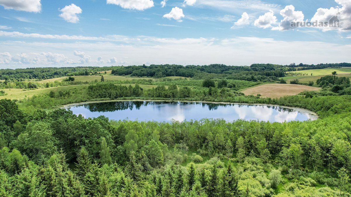Parduodamas Išskirtinis Rąstinis Namas - nuotraukos Nr. 47