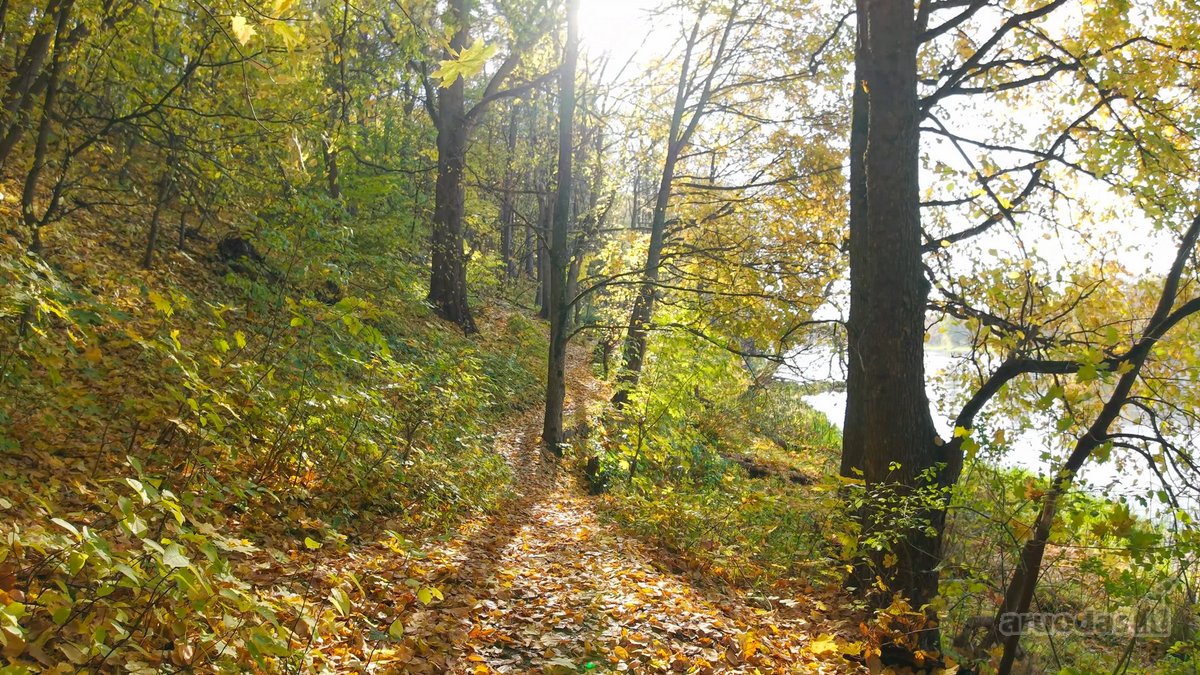 Revingio kvartalas įsikūręs kaimynystėje su - nuotraukos Nr. 14