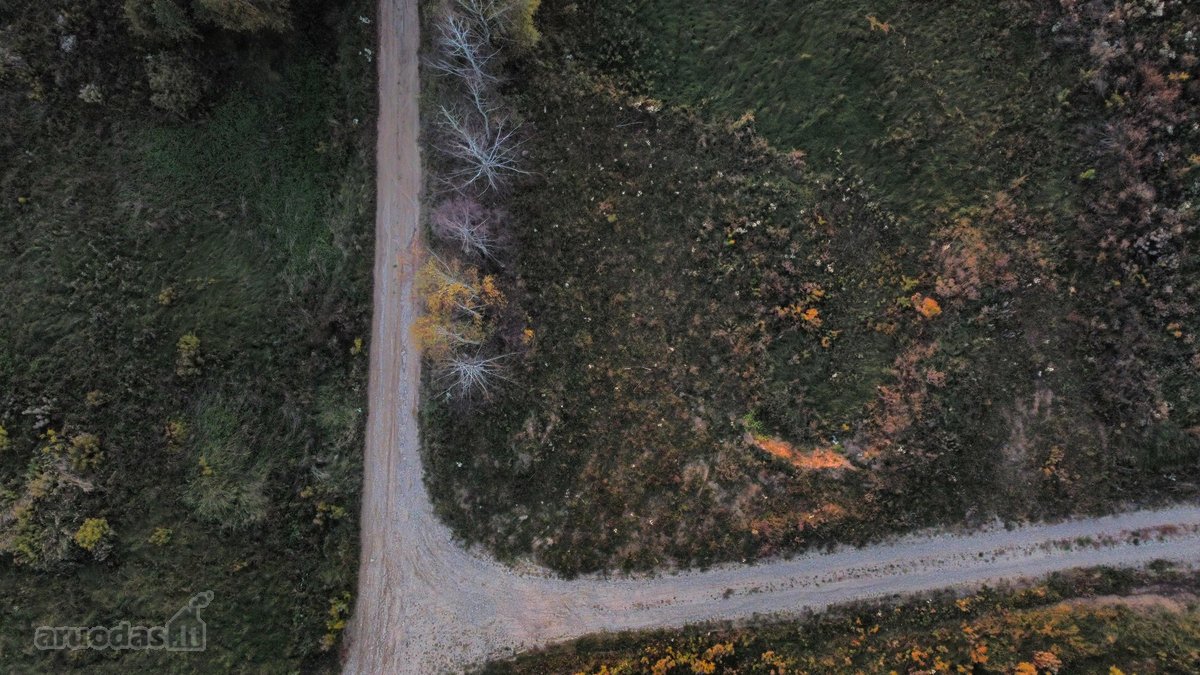 Vilniaus r., Avižienių sen., Pikutiškių k. - nuotraukos Nr. 3