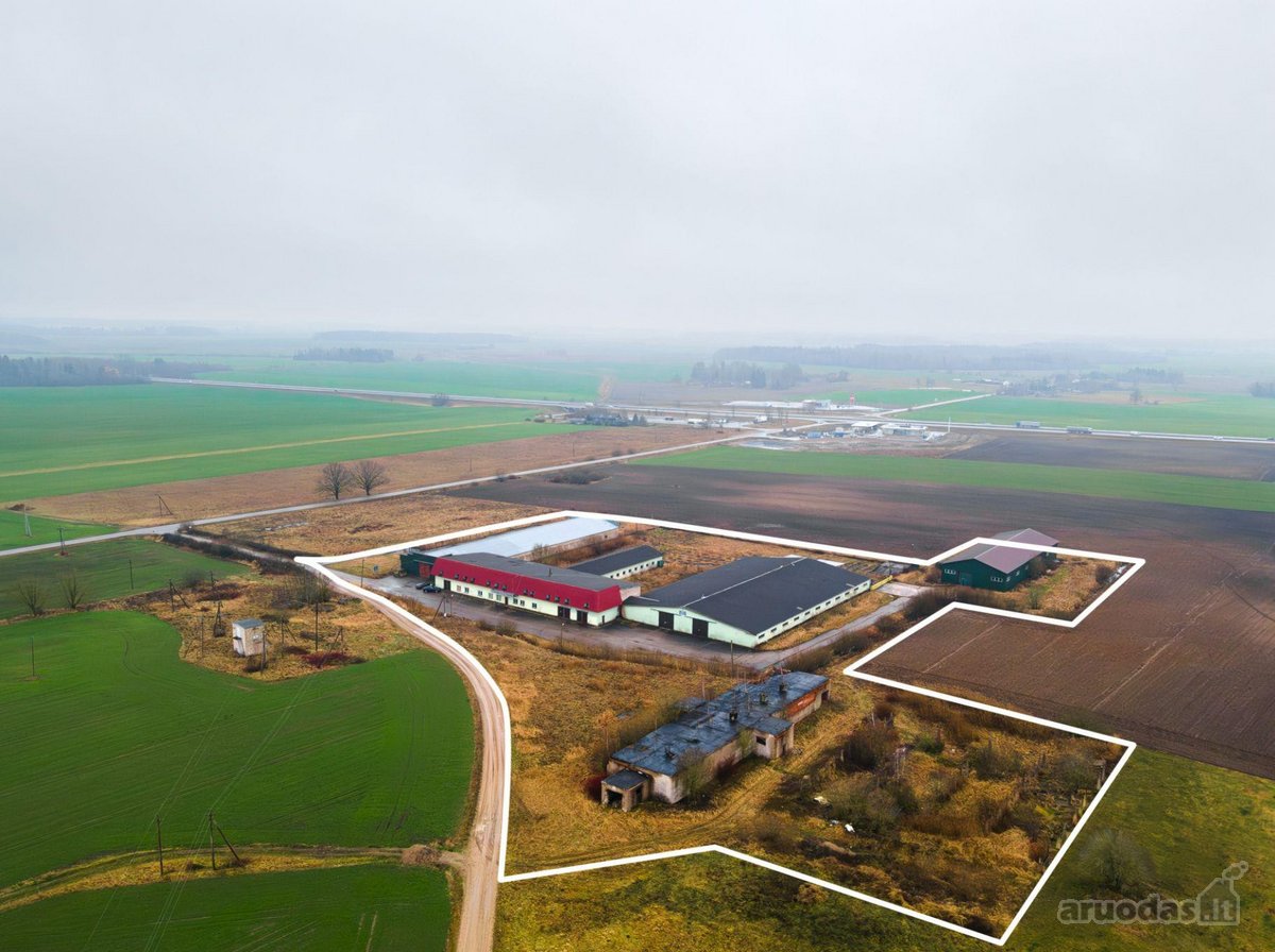Parduodami 3 Sandėliai Su 1,88 Ha Sklypu – - nuotraukos Nr. 4