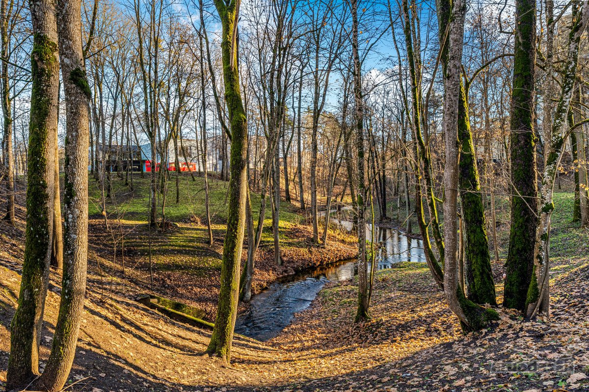 Erdvus Įrengtas Su Naujais Baldais Ir Nauja - nuotraukos Nr. 19