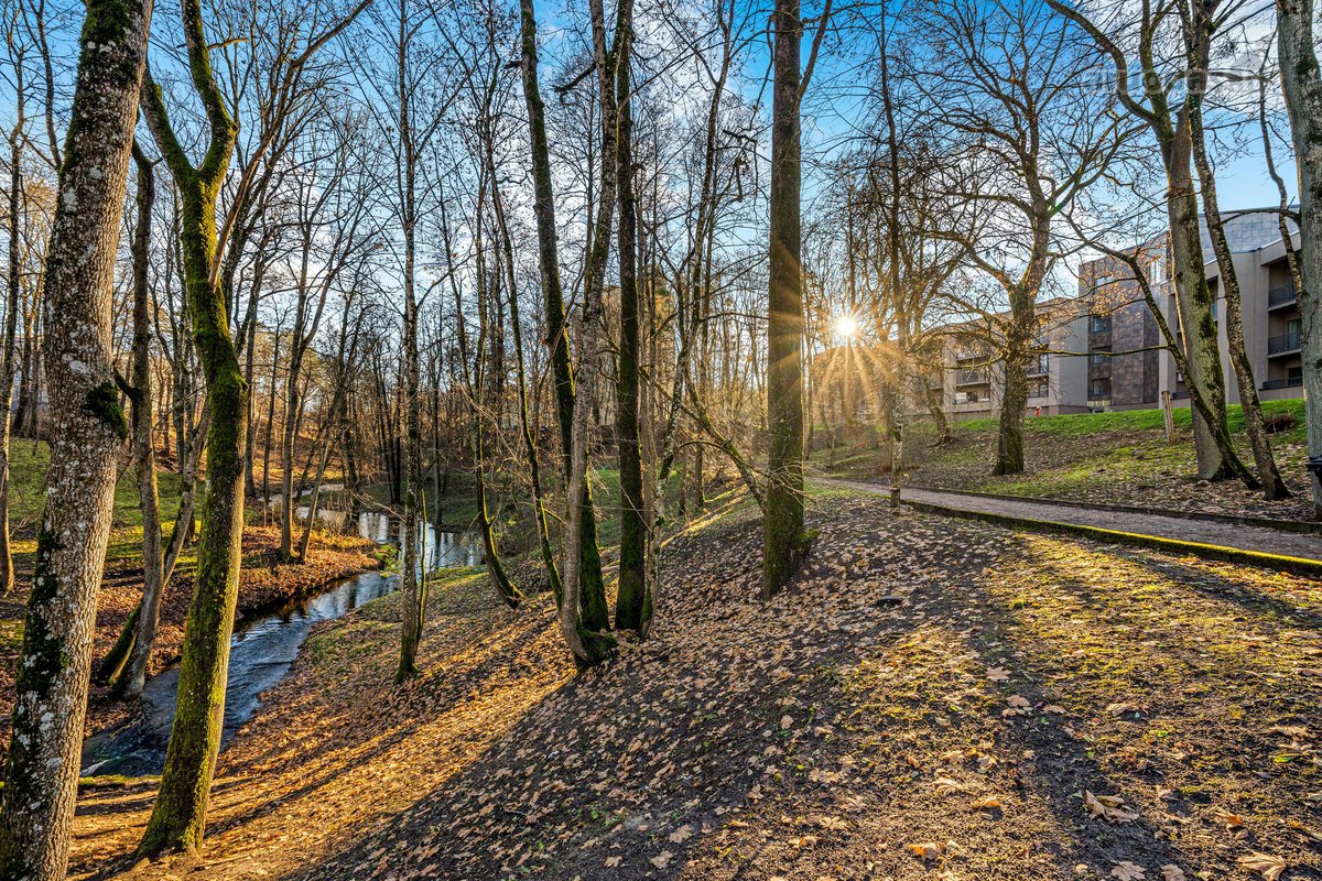 Erdvus Įrengtas Su Naujais Baldais Ir Nauja - nuotraukos Nr. 38