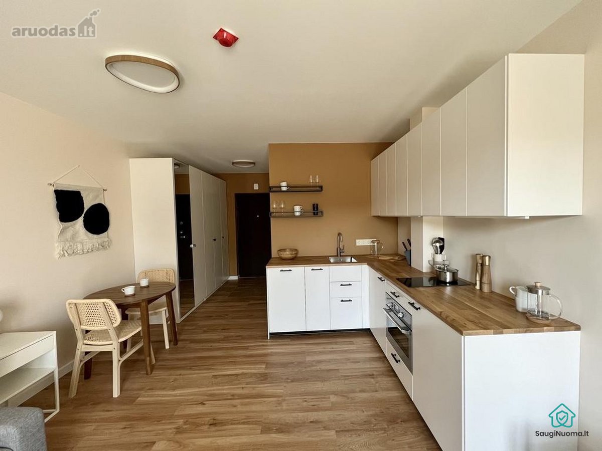 Išnuomojamas šviesus ir jaukus 1 kambario - nuotraukos Nr. 7