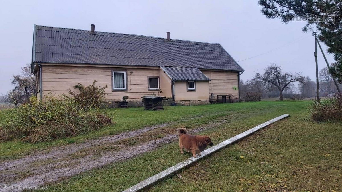 Vėžionių k., Kupiškio r. sav., Kupiškio sen. - nuotraukos Nr. 3