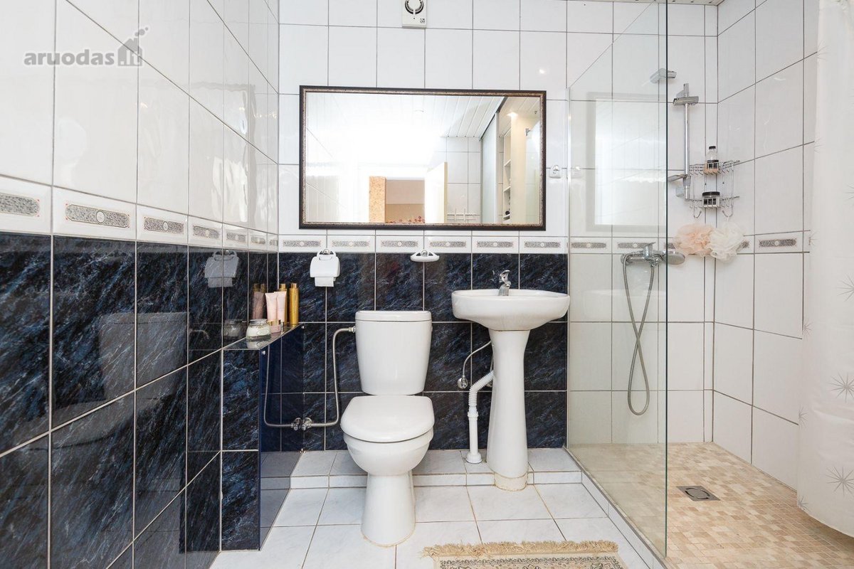 Birštone, vienoje ramiausių Lelijų gatvės - nuotraukos Nr. 6
