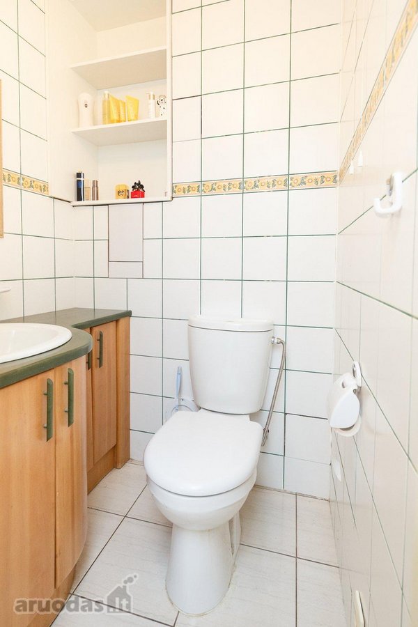 Birštone, vienoje ramiausių Lelijų gatvės - nuotraukos Nr. 14