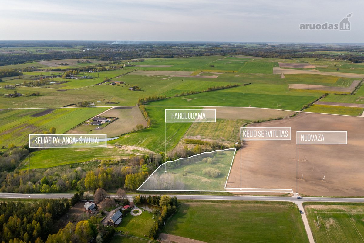 Parduodama sodybvietė 1,327 ha. Sklypas - nuotraukos Nr. 7