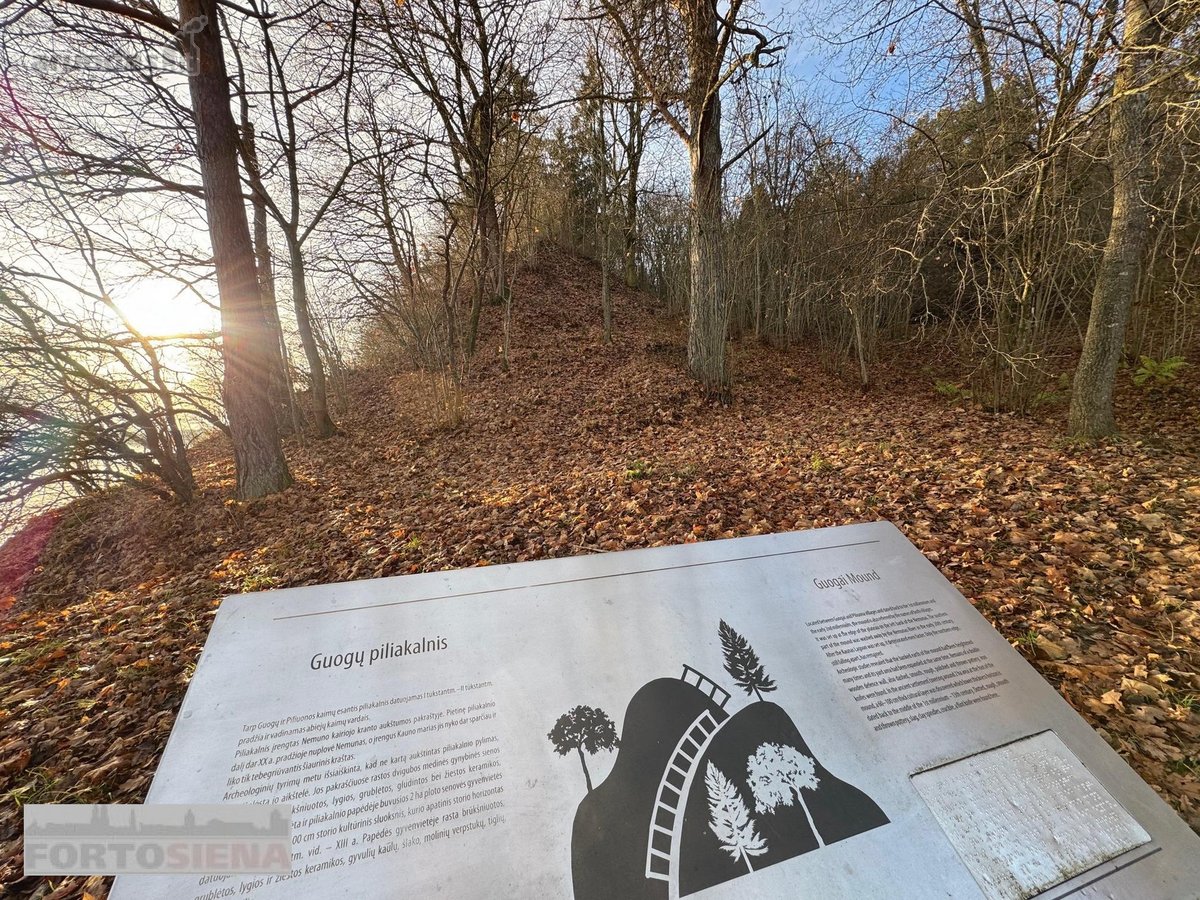 Labai gražioje, ramioje vietoje šalia Kauno - nuotraukos Nr. 15