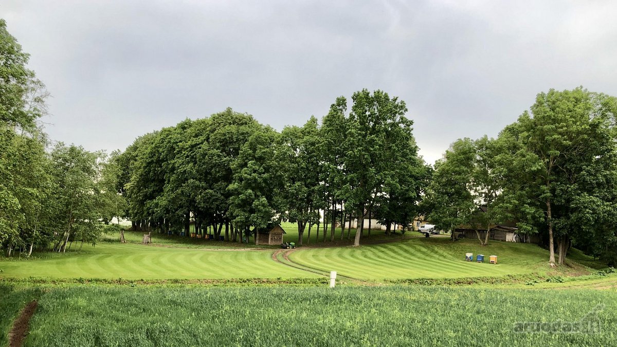 Parduodama 2,1ha sodyba šalia Lėvens Pasvalio - nuotraukos Nr. 6