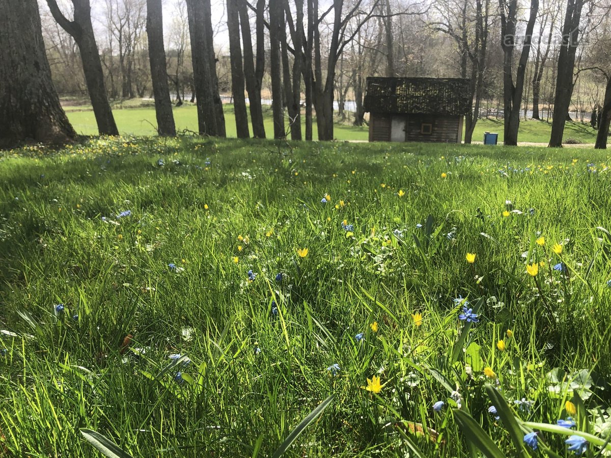Parduodama 2,1ha sodyba šalia Lėvens Pasvalio - nuotraukos Nr. 5