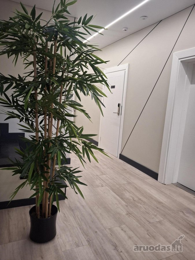 Apartamentų nuoma nuo 550 Eur/mėn. su