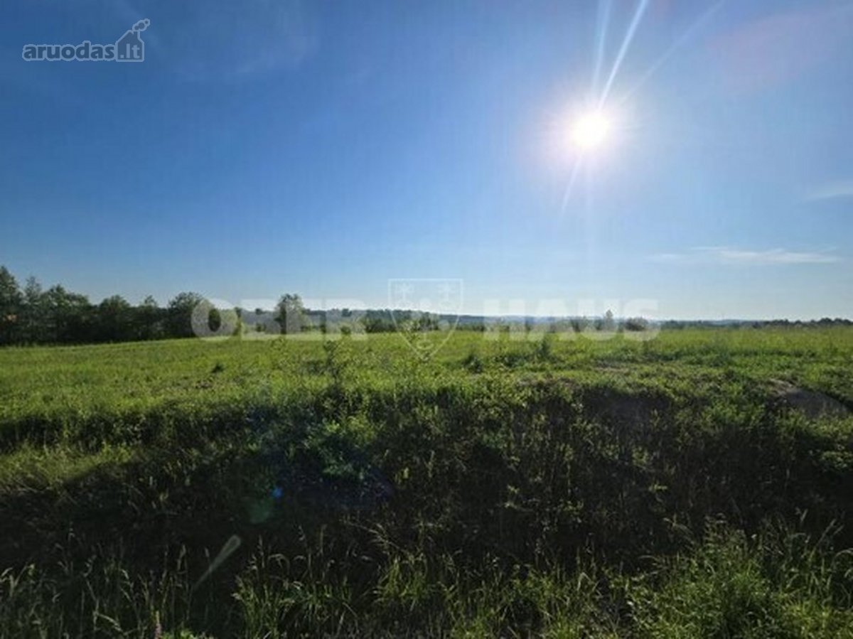 Trakų r. sav., Lentvario sen., Moluvėnų kaime - nuotraukos Nr. 5