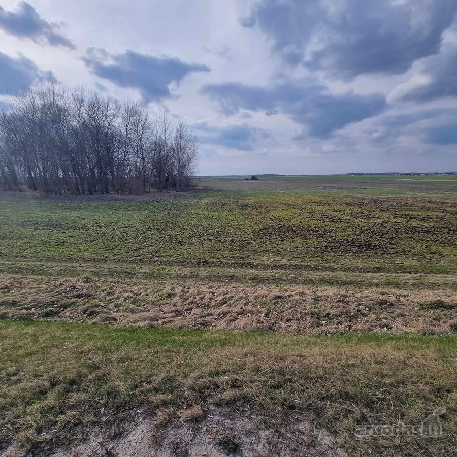 Parduodamas komercinės paskirties 0,6436 ha - nuotraukos Nr. 6