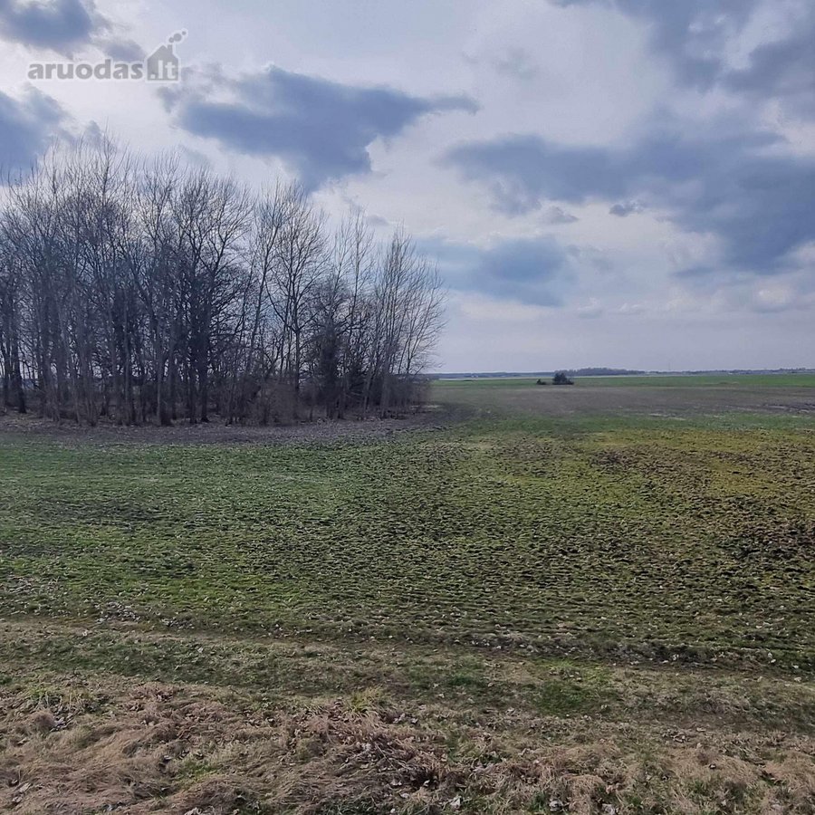 Parduodamas komercinės paskirties 0,6436 ha - nuotraukos Nr. 9