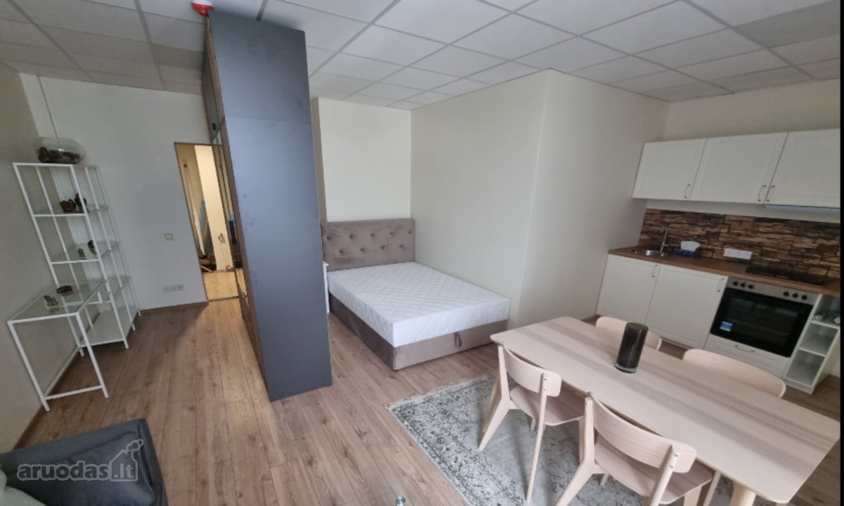 Parduodamas ką tik suremontuotas 1 kambario - nuotraukos Nr. 3