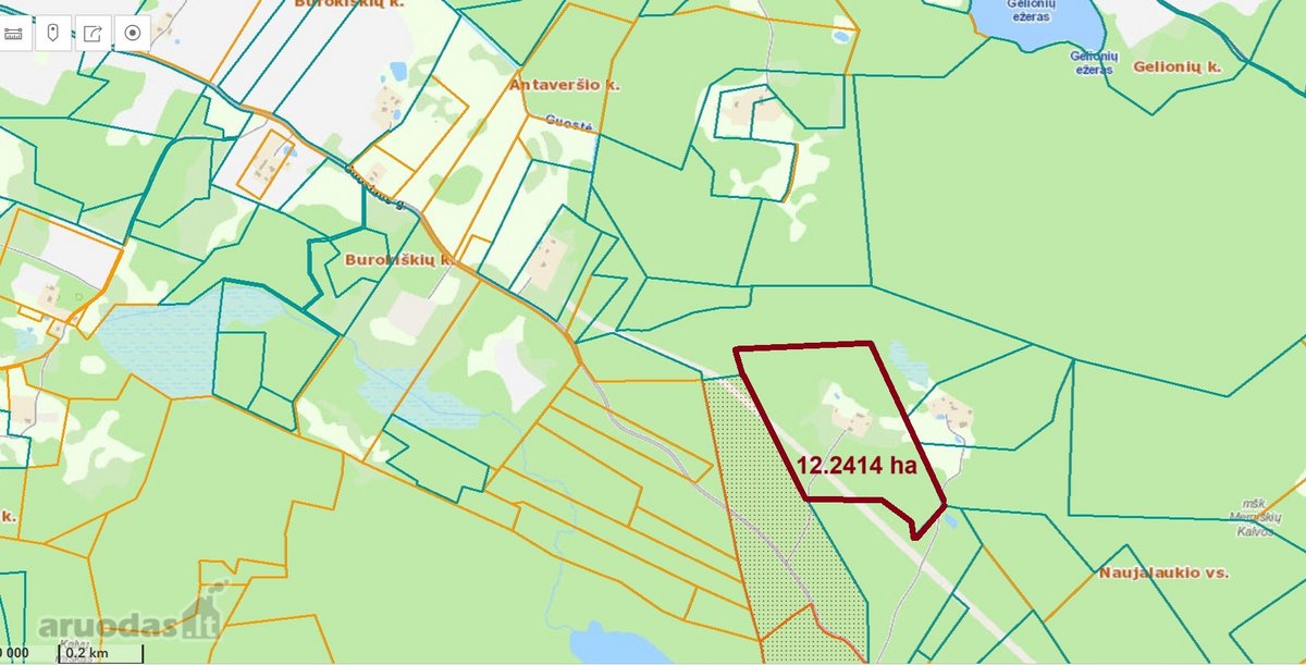 Brandaus spygliuočių miško apsuptyje, - nuotraukos Nr. 10