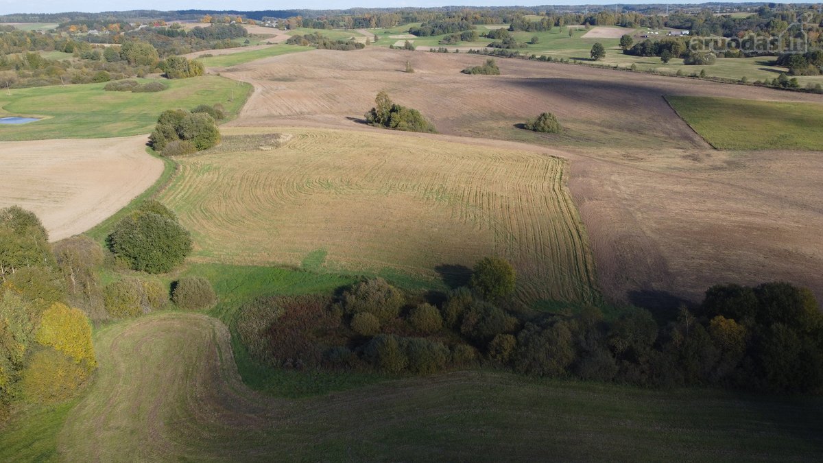 Parduodami 10,2 Ha Žemės Ūkio Paskirties Sklypai. - nuotraukos Nr. 2