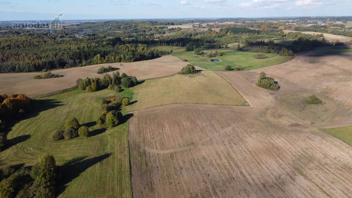 Parduodami 10,2 Ha Žemės Ūkio Paskirties Sklypai. - nuotraukos Nr. 4