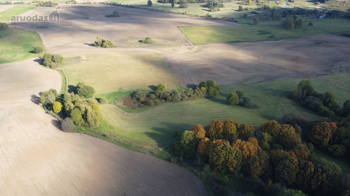 Parduodami 10,2 Ha Žemės Ūkio Paskirties Sklypai. - nuotraukos Nr. 5