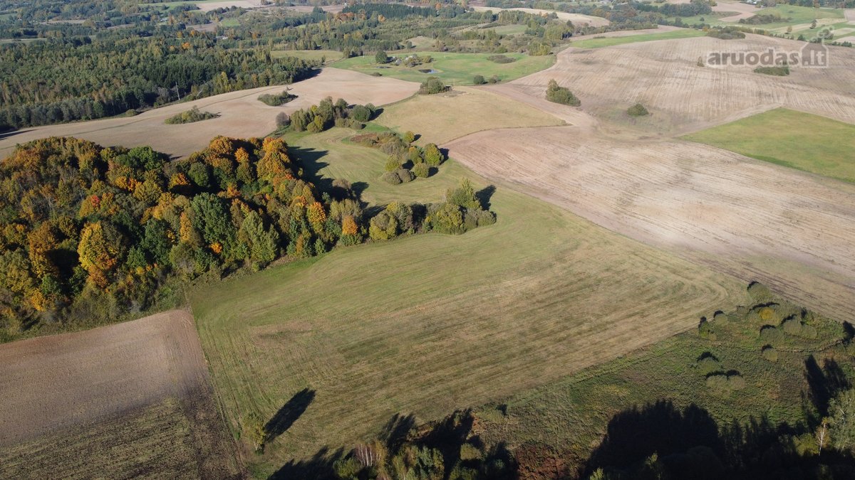 Parduodami 10,2 Ha Žemės Ūkio Paskirties Sklypai. - nuotraukos Nr. 6