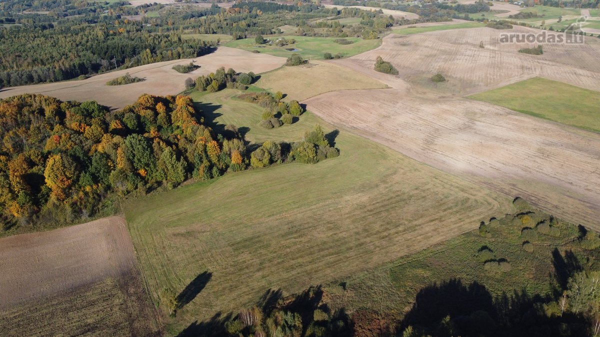 Parduodami 10,2 Ha Žemės Ūkio Paskirties Sklypai. - nuotraukos Nr. 7