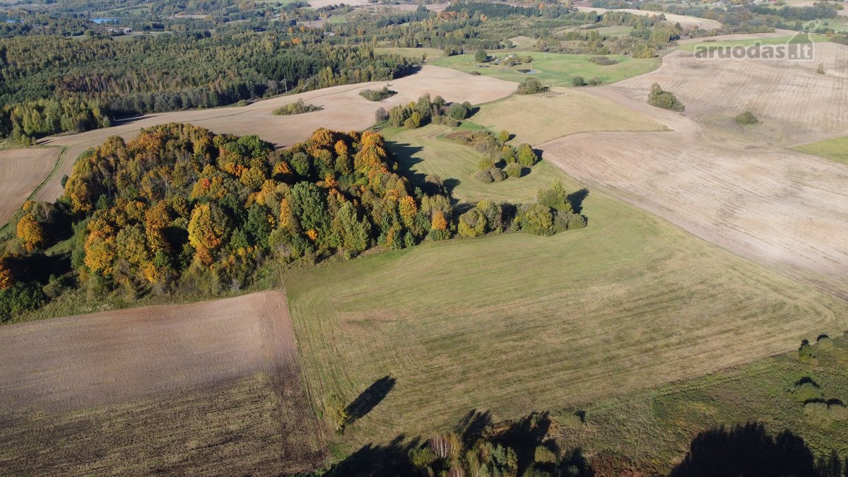 Parduodami 10,2 Ha Žemės Ūkio Paskirties Sklypai.