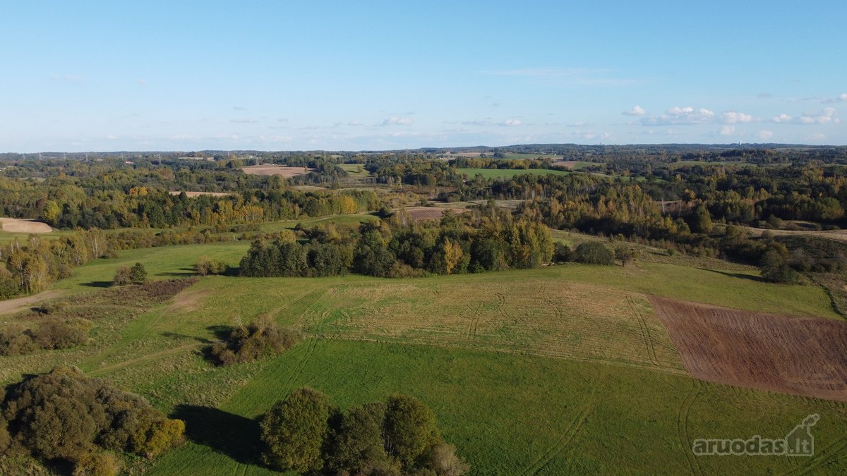 Parduodami 10,2 Ha Žemės Ūkio Paskirties Sklypai. - nuotraukos Nr. 8