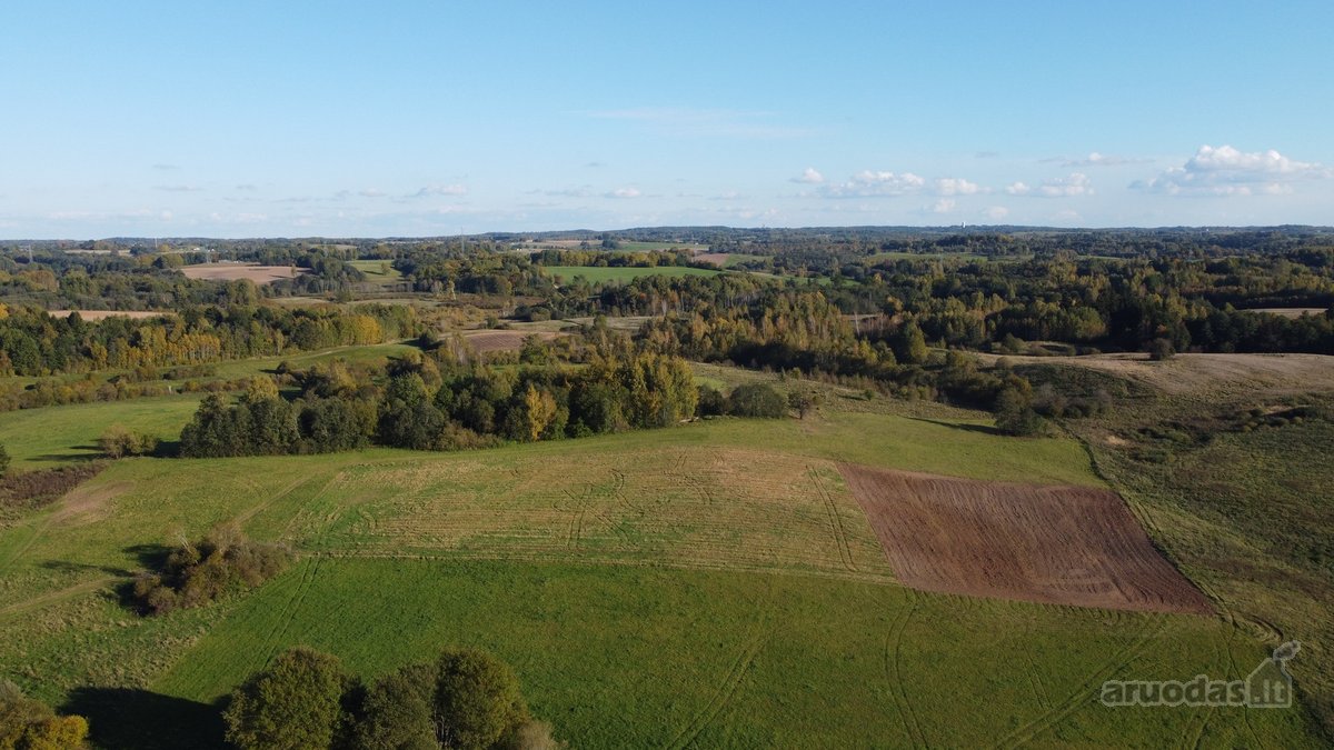 Parduodami 10,2 Ha Žemės Ūkio Paskirties Sklypai. - nuotraukos Nr. 9